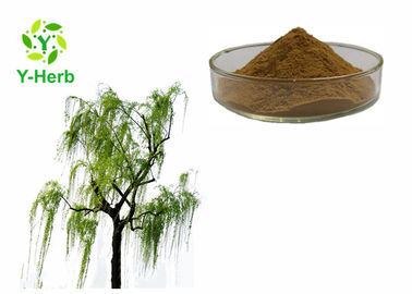 Salix Alba Bark extract 10% 50% 98% Salicin Powder White Willow Bark Extract