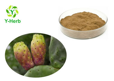 Health Care Weight Loss Supplement Powder Bulk Opuntia Ficus Indica Extract