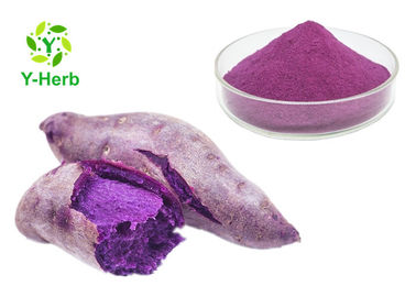 Pure Dried Vegetable Extract Powder Purple Sweet Potato Extract Powder