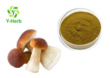 Brown Herbal Extract Powder Cep Mushroom Porcini Extract Powder Polysaccharide 10% - 50%