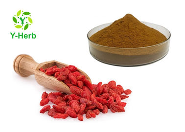 Water Soluble Goji Berry Extract Powder Polysaccharide 40% 60% Food Grade