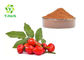 Rosa Rugosa Thunb Bulk Rosehip Powder 10% UV Rose Hip Extract Flavones