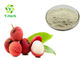 Lychee Juice Powdered Fruit Juice Concentrate Extract Litchi Fruit Powder