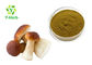 Brown Herbal Extract Powder Cep Mushroom Porcini Extract Powder Polysaccharide 10% - 50%